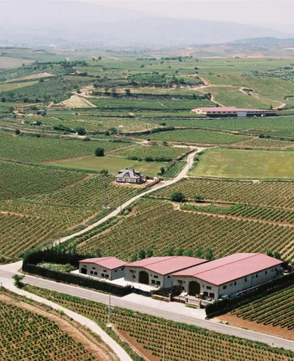 viñedos de Heras Cordon