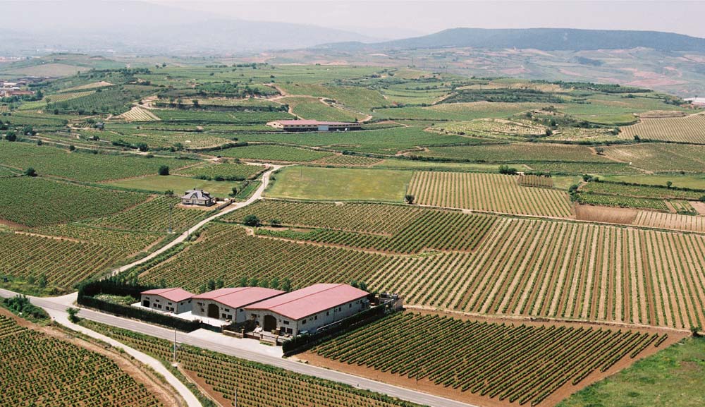 Bodegas y viñedos Heras Cordón. Fuenmayor (La Rioja)